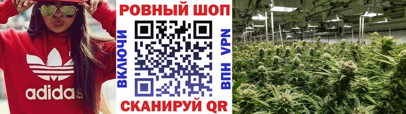 Цена Тара Конопля  МДМА  Галлюциногенные грибы  Меф  Альфа ПВП  COCAIN 