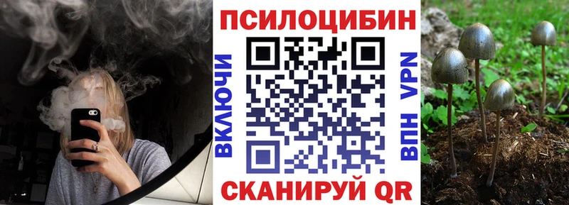 даркнет сайт  Тара  Галлюциногенные грибы Psilocybine cubensis 