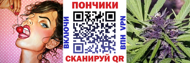 Бошки марихуана план  блэк спрут рабочий сайт  Тара 